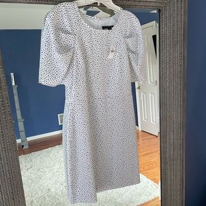 NWT Banana Republic Puff Sleeve Fit and Flare Dress